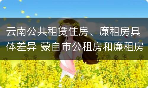 云南公共租赁住房、廉租房具体差异 蒙自市公租房和廉租房