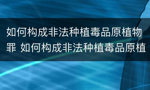 如何构成非法种植毒品原植物罪 如何构成非法种植毒品原植物罪行