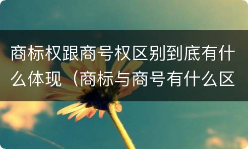 商标权跟商号权区别到底有什么体现（商标与商号有什么区别）