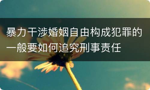 暴力干涉婚姻自由构成犯罪的一般要如何追究刑事责任