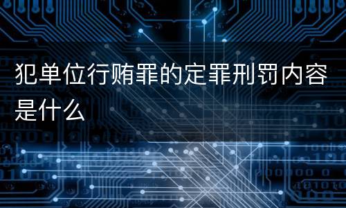 犯单位行贿罪的定罪刑罚内容是什么