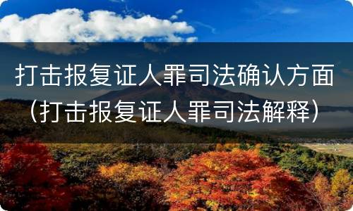 打击报复证人罪司法确认方面（打击报复证人罪司法解释）