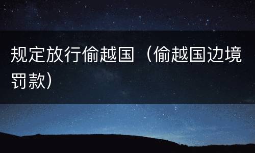 规定放行偷越国（偷越国边境罚款）