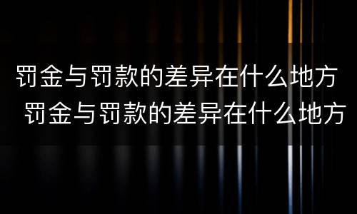 罚金与罚款的差异在什么地方 罚金与罚款的差异在什么地方填写
