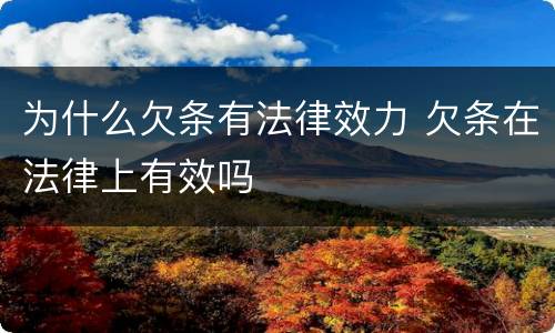 为什么欠条有法律效力 欠条在法律上有效吗