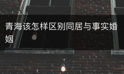 青海该怎样区别同居与事实婚姻