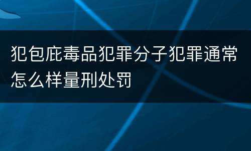 犯包庇毒品犯罪分子犯罪通常怎么样量刑处罚