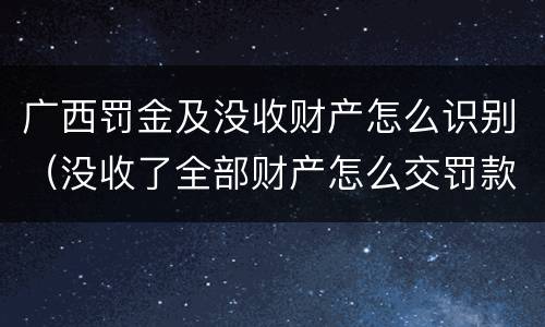 广西罚金及没收财产怎么识别（没收了全部财产怎么交罚款）