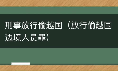 刑事放行偷越国（放行偷越国边境人员罪）