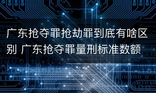 广东抢夺罪抢劫罪到底有啥区别 广东抢夺罪量刑标准数额