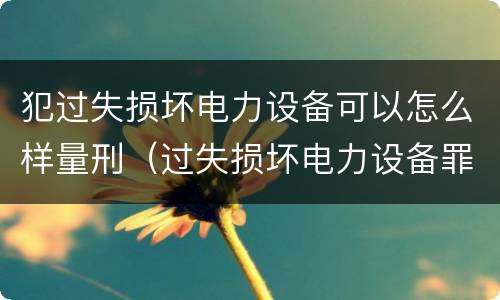 犯过失损坏电力设备可以怎么样量刑（过失损坏电力设备罪案例）