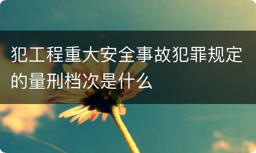 犯工程重大安全事故犯罪规定的量刑档次是什么
