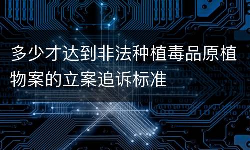 多少才达到非法种植毒品原植物案的立案追诉标准