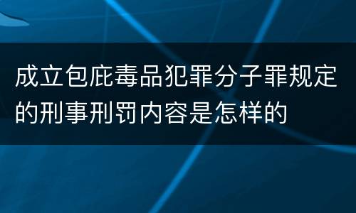 成立包庇毒品犯罪分子罪规定的刑事刑罚内容是怎样的
