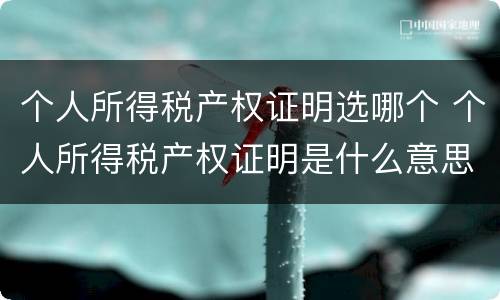 个人所得税产权证明选哪个 个人所得税产权证明是什么意思