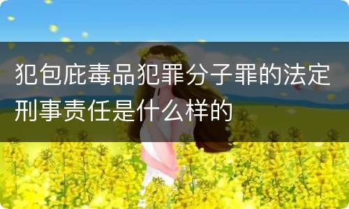 犯包庇毒品犯罪分子罪的法定刑事责任是什么样的
