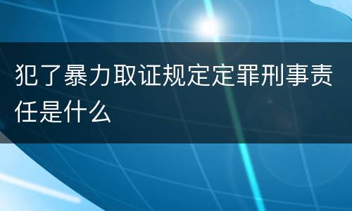 犯了暴力取证规定定罪刑事责任是什么