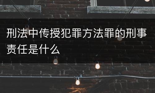 刑法中传授犯罪方法罪的刑事责任是什么