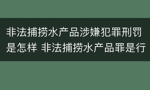 非法捕捞水产品涉嫌犯罪刑罚是怎样 非法捕捞水产品罪是行为犯吗