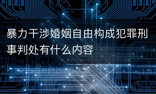 暴力干涉婚姻自由构成犯罪刑事判处有什么内容