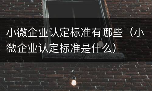 小微企业认定标准有哪些（小微企业认定标准是什么）