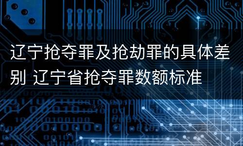 辽宁抢夺罪及抢劫罪的具体差别 辽宁省抢夺罪数额标准