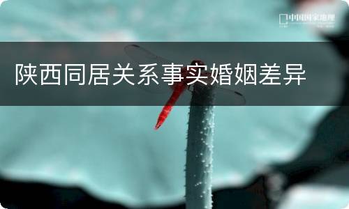 陕西同居关系事实婚姻差异