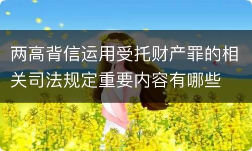 两高背信运用受托财产罪的相关司法规定重要内容有哪些
