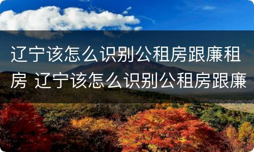 辽宁该怎么识别公租房跟廉租房 辽宁该怎么识别公租房跟廉租房呢