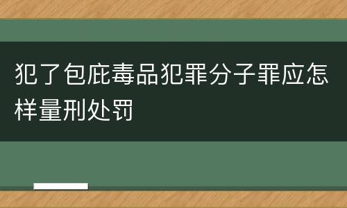 犯了包庇毒品犯罪分子罪应怎样量刑处罚