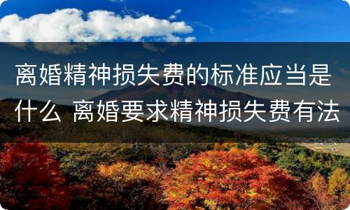 离婚精神损失费的标准应当是什么 离婚要求精神损失费有法律依据吗?