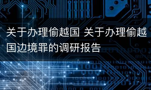关于办理偷越国 关于办理偷越国边境罪的调研报告