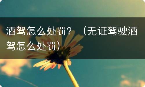 酒驾怎么处罚？（无证驾驶酒驾怎么处罚）