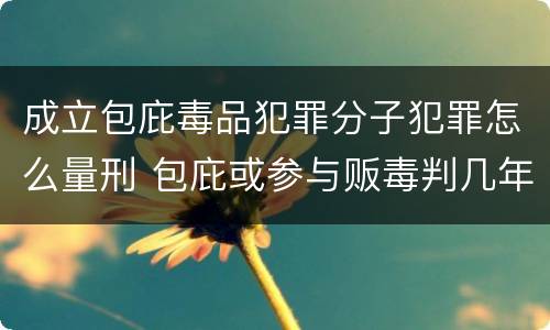 成立包庇毒品犯罪分子犯罪怎么量刑 包庇或参与贩毒判几年
