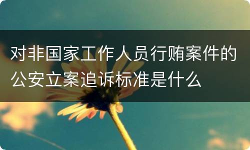 对非国家工作人员行贿案件的公安立案追诉标准是什么
