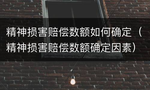 精神损害赔偿数额如何确定（精神损害赔偿数额确定因素）