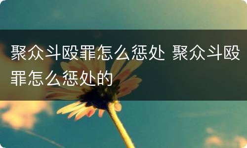 聚众斗殴罪怎么惩处 聚众斗殴罪怎么惩处的