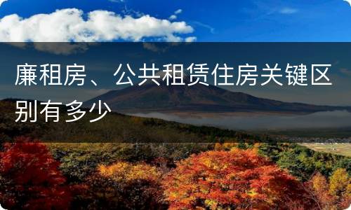 廉租房、公共租赁住房关键区别有多少