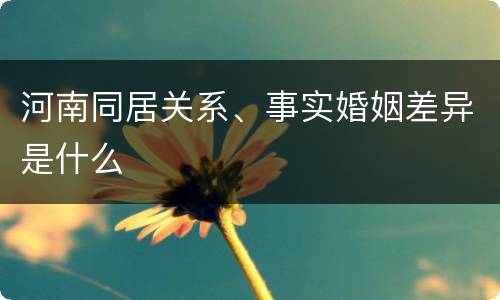 河南同居关系、事实婚姻差异是什么