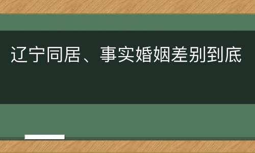 辽宁同居、事实婚姻差别到底