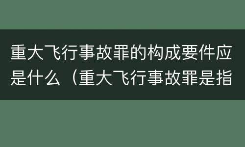 重大飞行事故罪的构成要件应是什么（重大飞行事故罪是指什么）