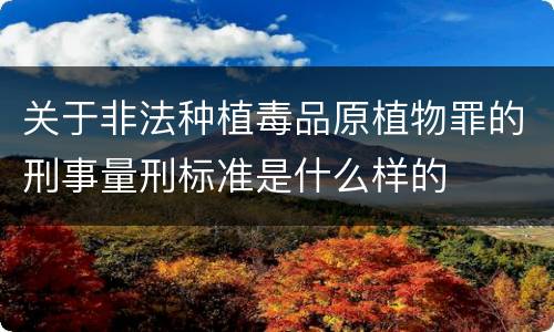 关于非法种植毒品原植物罪的刑事量刑标准是什么样的