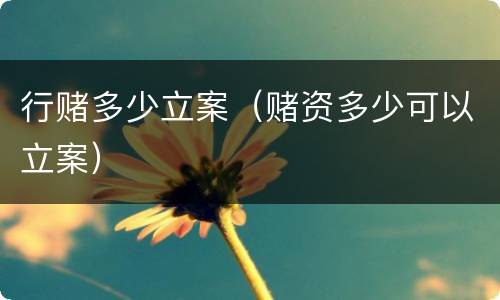 行赌多少立案（赌资多少可以立案）