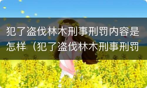犯了盗伐林木刑事刑罚内容是怎样（犯了盗伐林木刑事刑罚内容是怎样的）