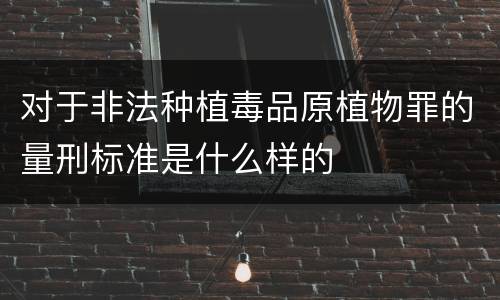 对于非法种植毒品原植物罪的量刑标准是什么样的