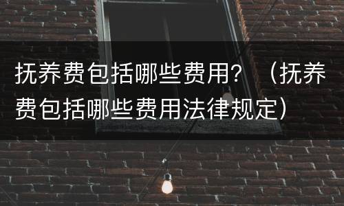 抚养费包括哪些费用？（抚养费包括哪些费用法律规定）