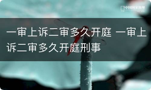 一审上诉二审多久开庭 一审上诉二审多久开庭刑事