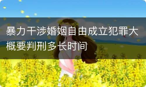 暴力干涉婚姻自由成立犯罪大概要判刑多长时间