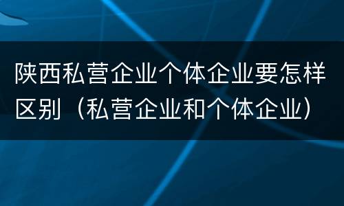 陕西私营企业个体企业要怎样区别（私营企业和个体企业）