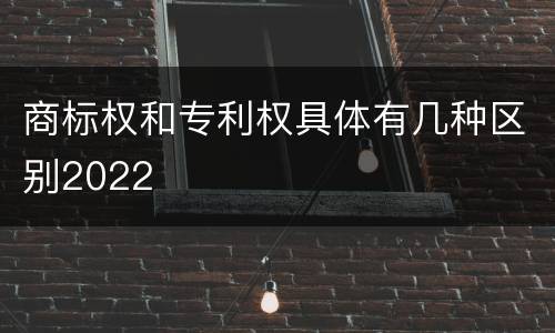 商标权和专利权具体有几种区别2022
